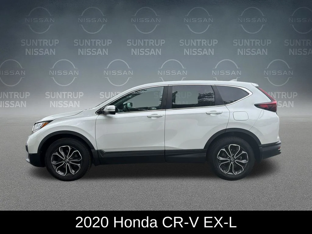 Used 2020 White Honda EX-L image 2