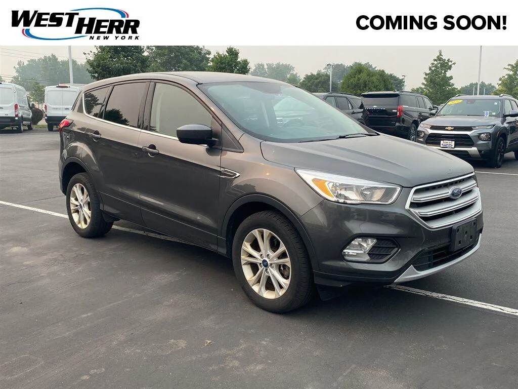 Used 2019 Magnetic Ford SE image 1