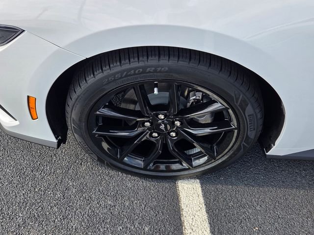 New 2026 Oxford White Ford EcoBoost image 13