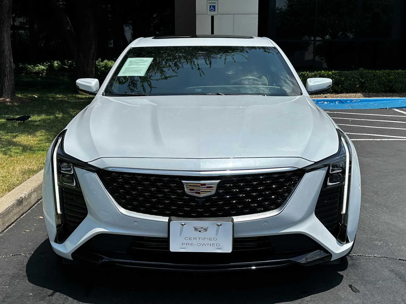 Certified Used 2026 Vibrant White Tricoat Cadillac Premium Luxury image 2
