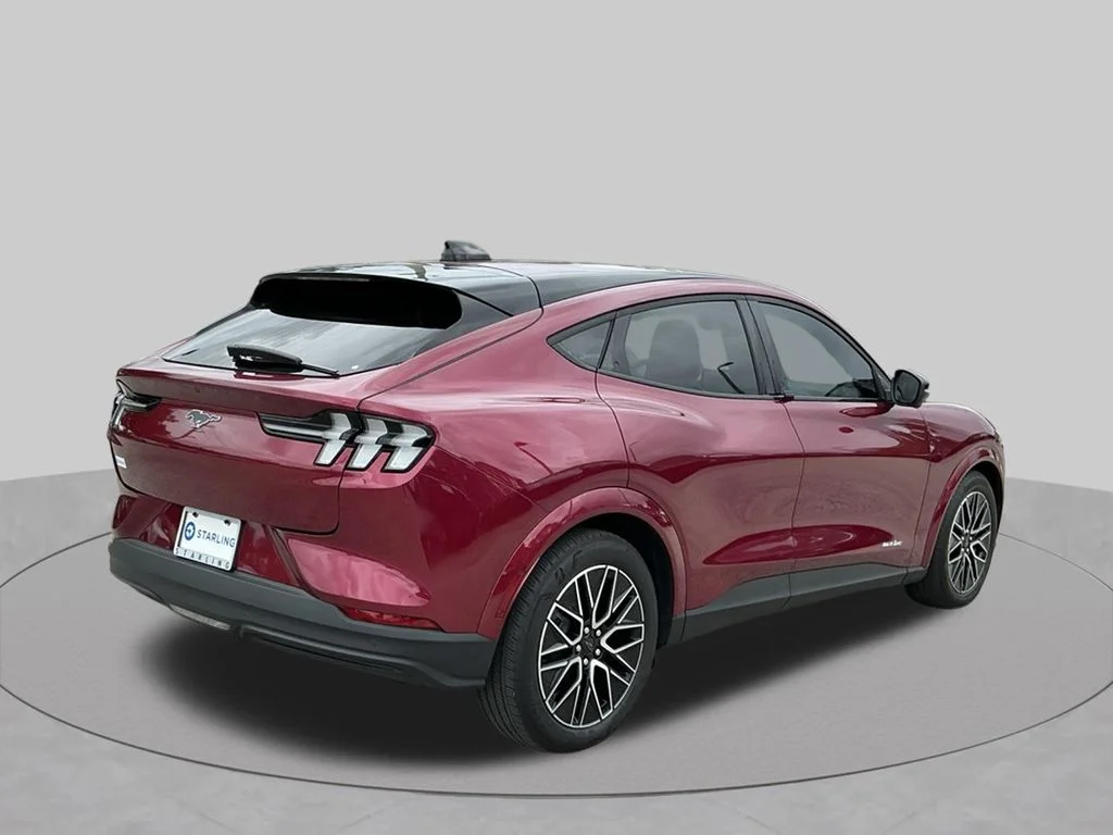 Used 2025 Red Ford Premium image 14