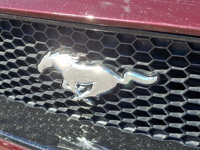 Used 2018 Red Ford GT Premium image 32
