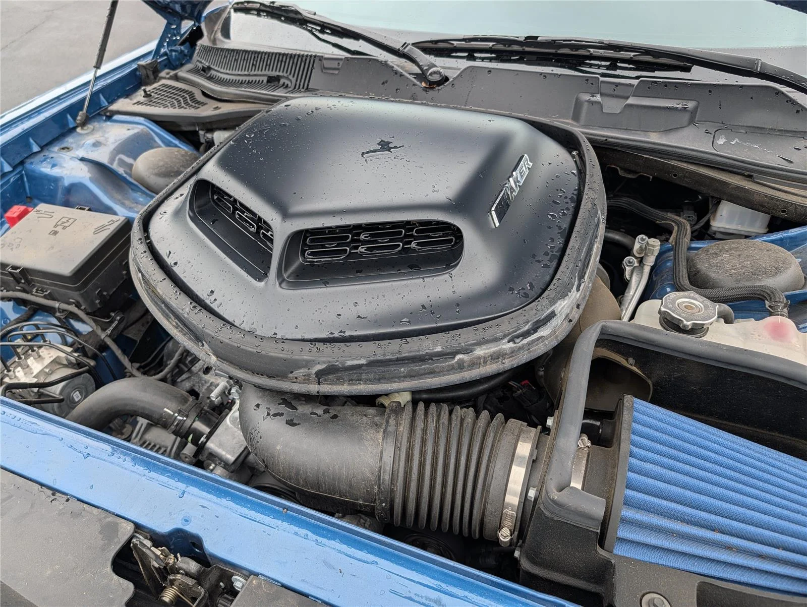 Used 2022 Frostbite Dodge R/T image 32