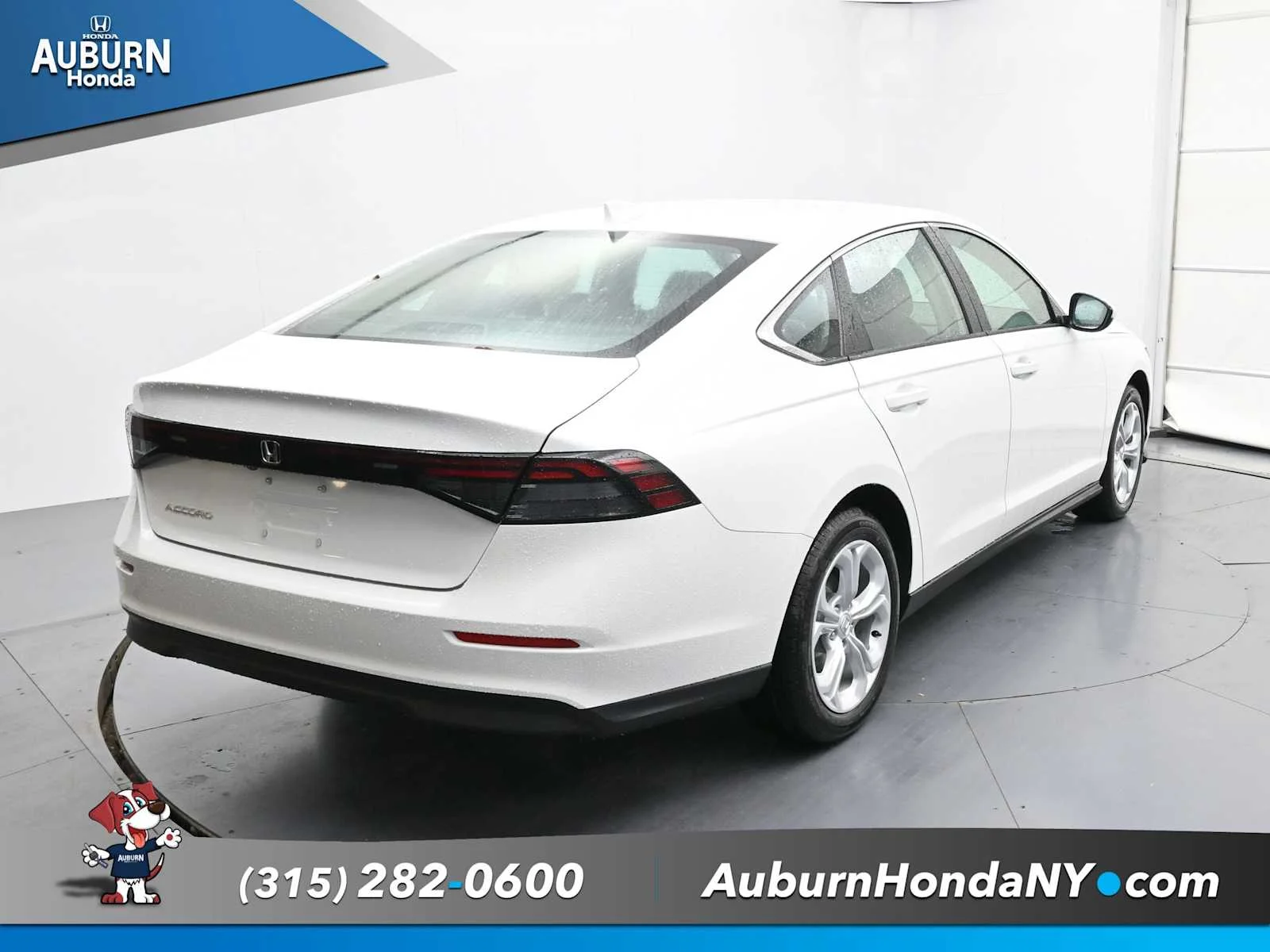 New 2025 Platinum White Pearl Honda LX image 4