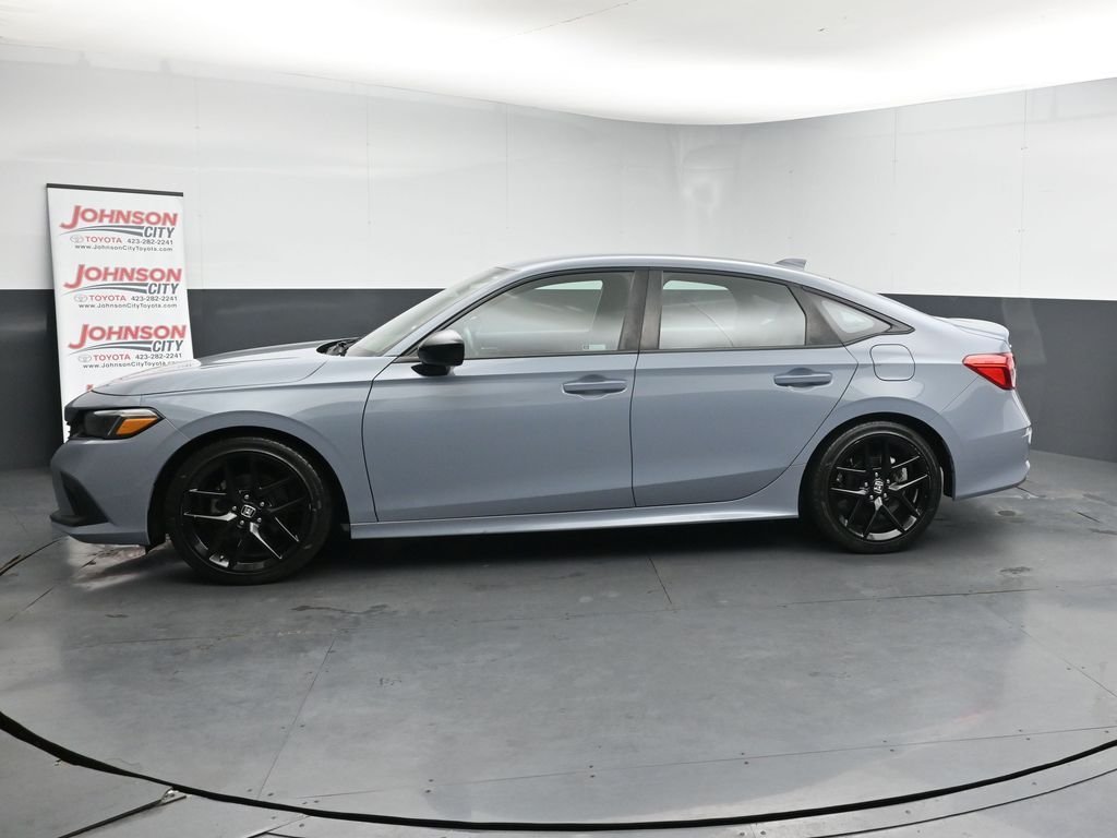 View 5