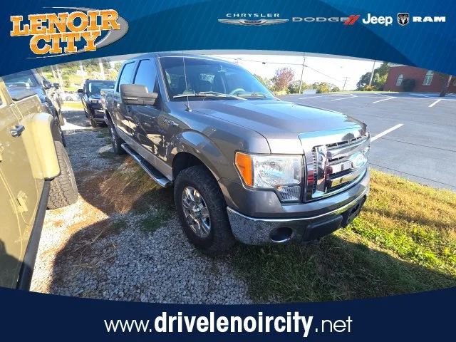 2010 Ford F-150