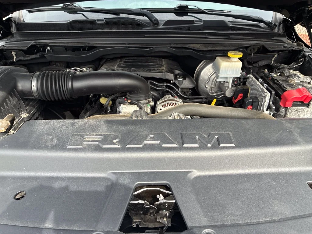 Used 2019 Black Ram Tradesman image 12