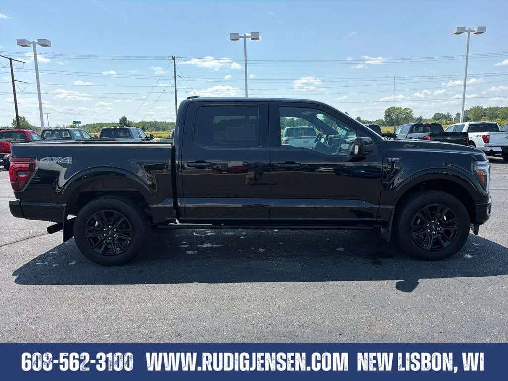 Used 2025 Black Ford Platinum image 6
