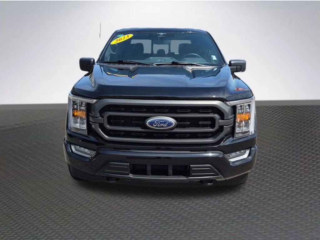 1FTEW1EP4PFA95055