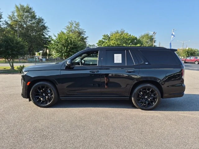 Used 2024 Black Cadillac Sport Platinum image 6