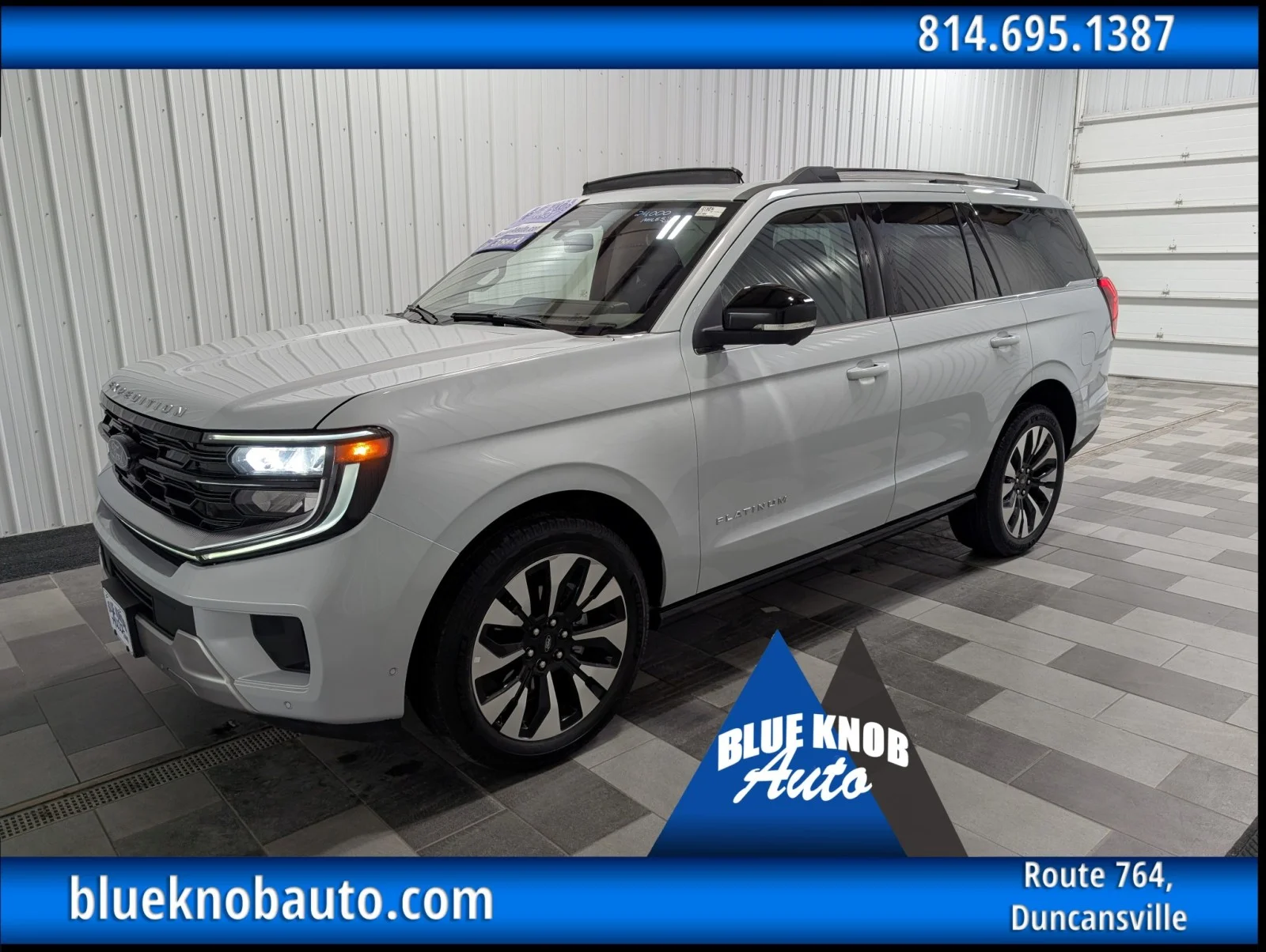 2025 Ford Expedition Platinum 4x4's photo