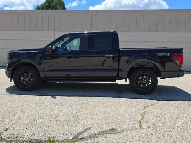 Used 2024 Black Ford STX image 10