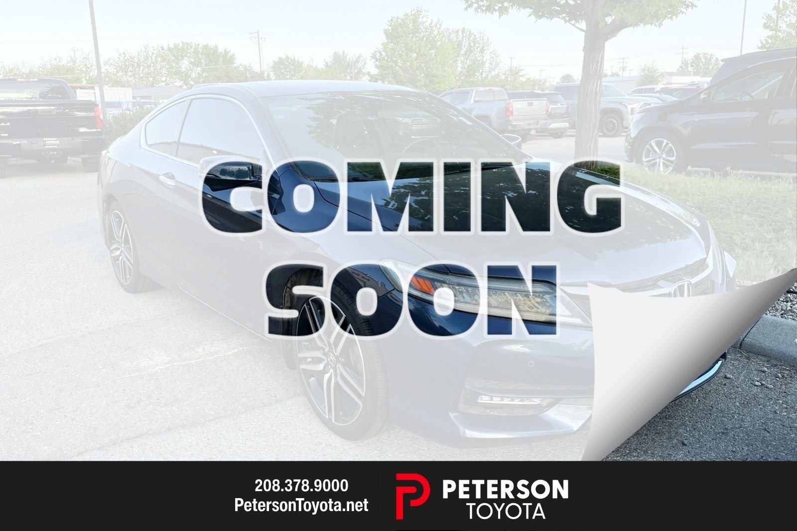 2016 Honda Accord Touring Auto's photo