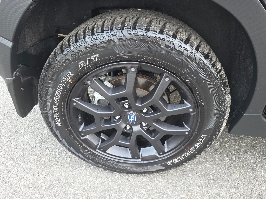 2025 Subaru Crosstrek Wilderness - Photo 6