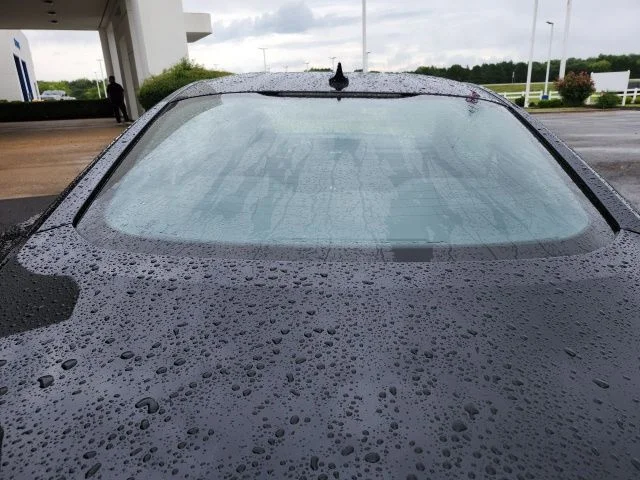 New 2026 Shadow Black Ford EcoBoost® Fastback image 17