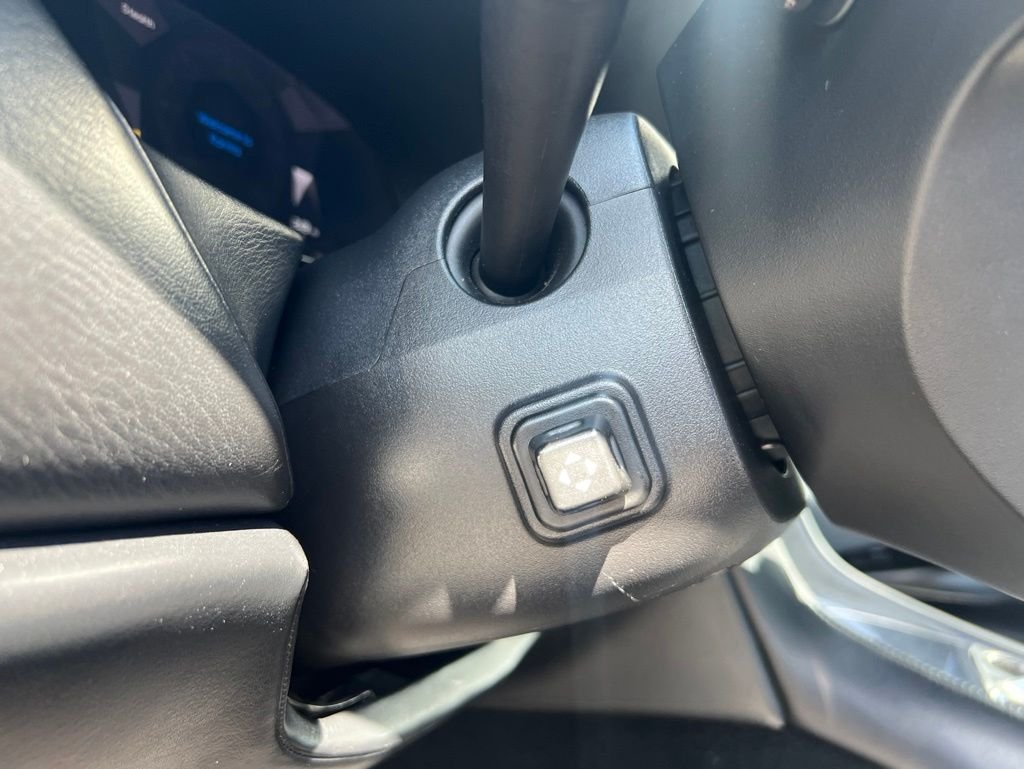 Used 2018 Gray Karma Luxury image 30