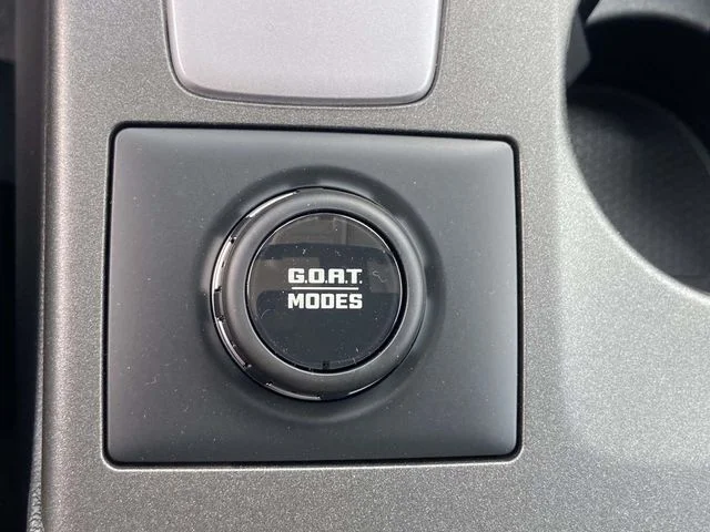 New 2026 Gray Ford Outer Banks image 24