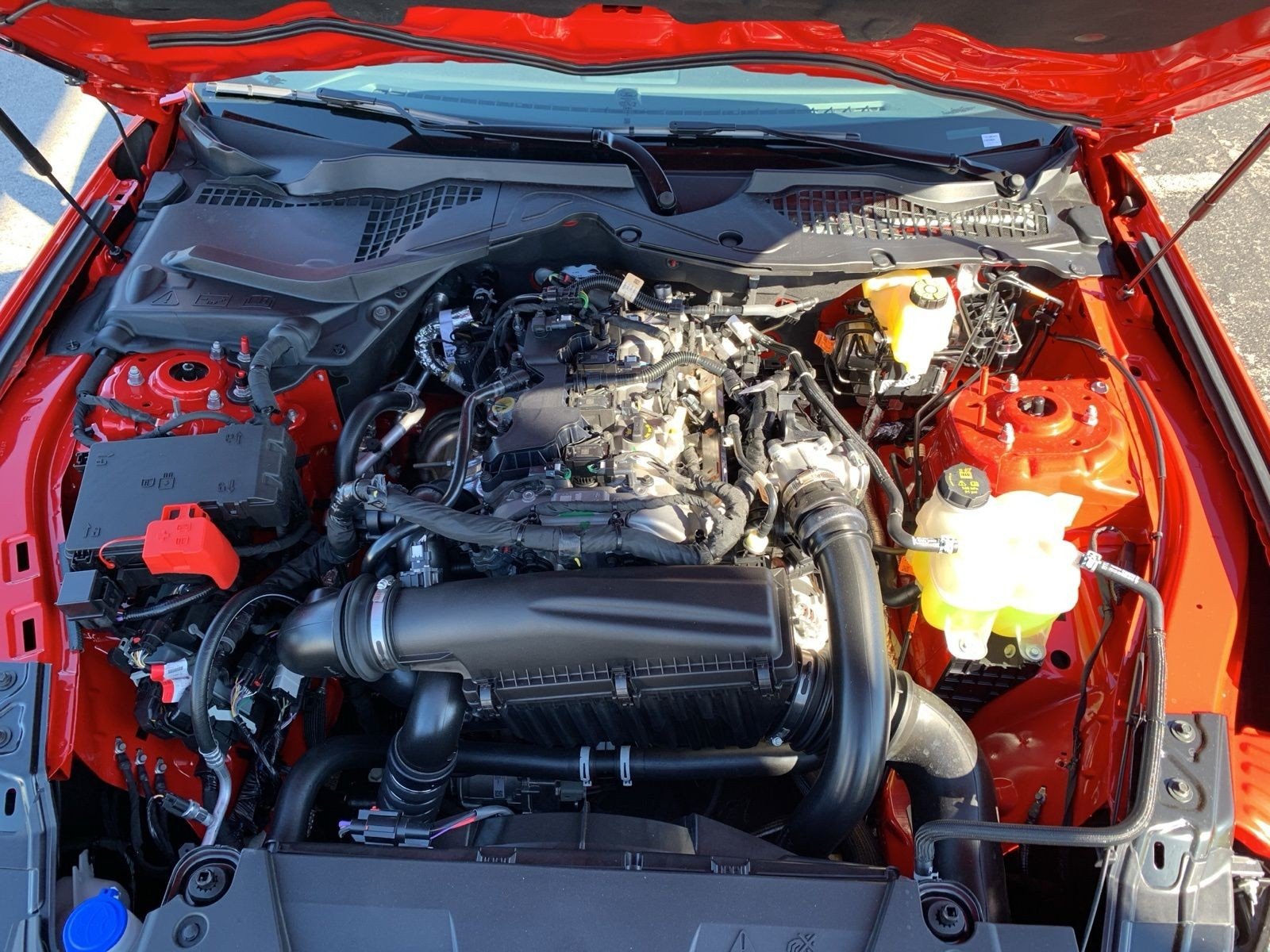 New 2026 Race Red Ford EcoBoost® Premium Fastback image 23