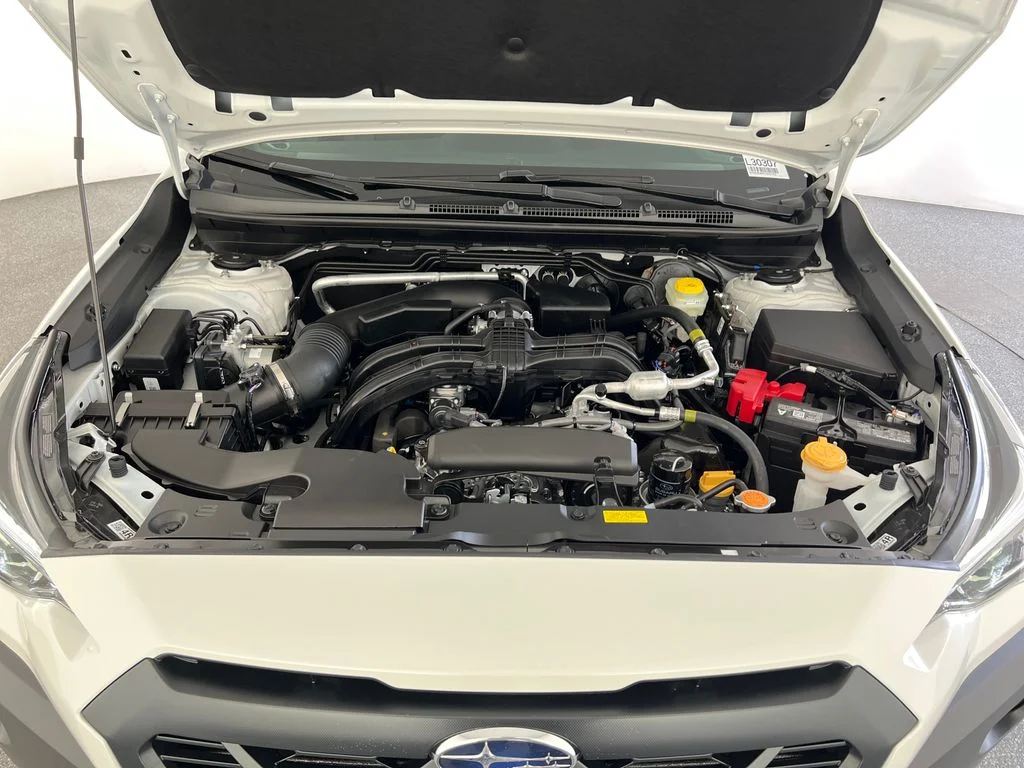 New 2026 CRYSTAL WHITE PEARL Subaru Wilderness image 23