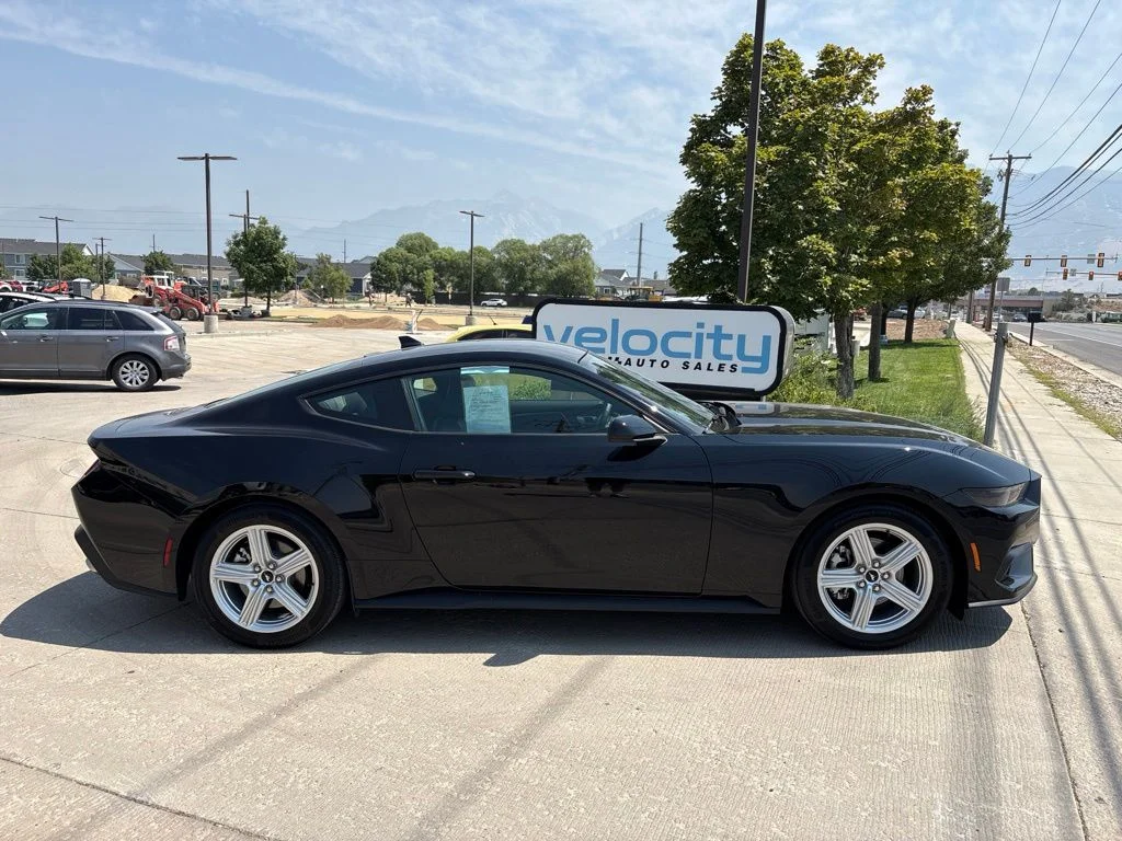 Used 2026 Black Ford EcoBoost Premium image 3
