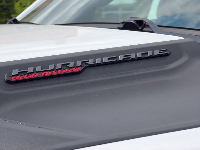 New 2026 Bright White Clear-Coat Exterior Paint RAM RHO image 29