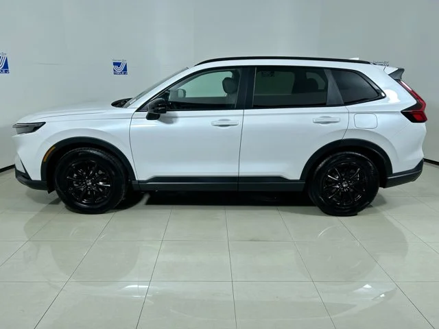 New 2026 PLATINUM WHITE Honda Sport-L image 5