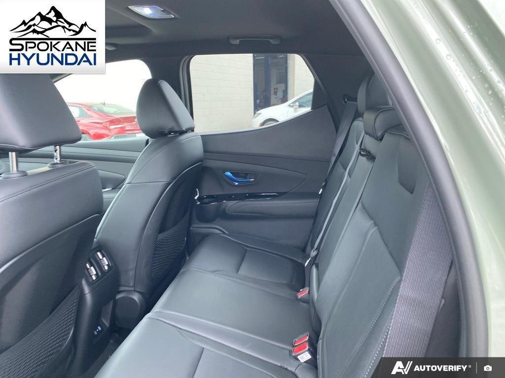 New 2026 Sage Gray Hyundai Limited image 26