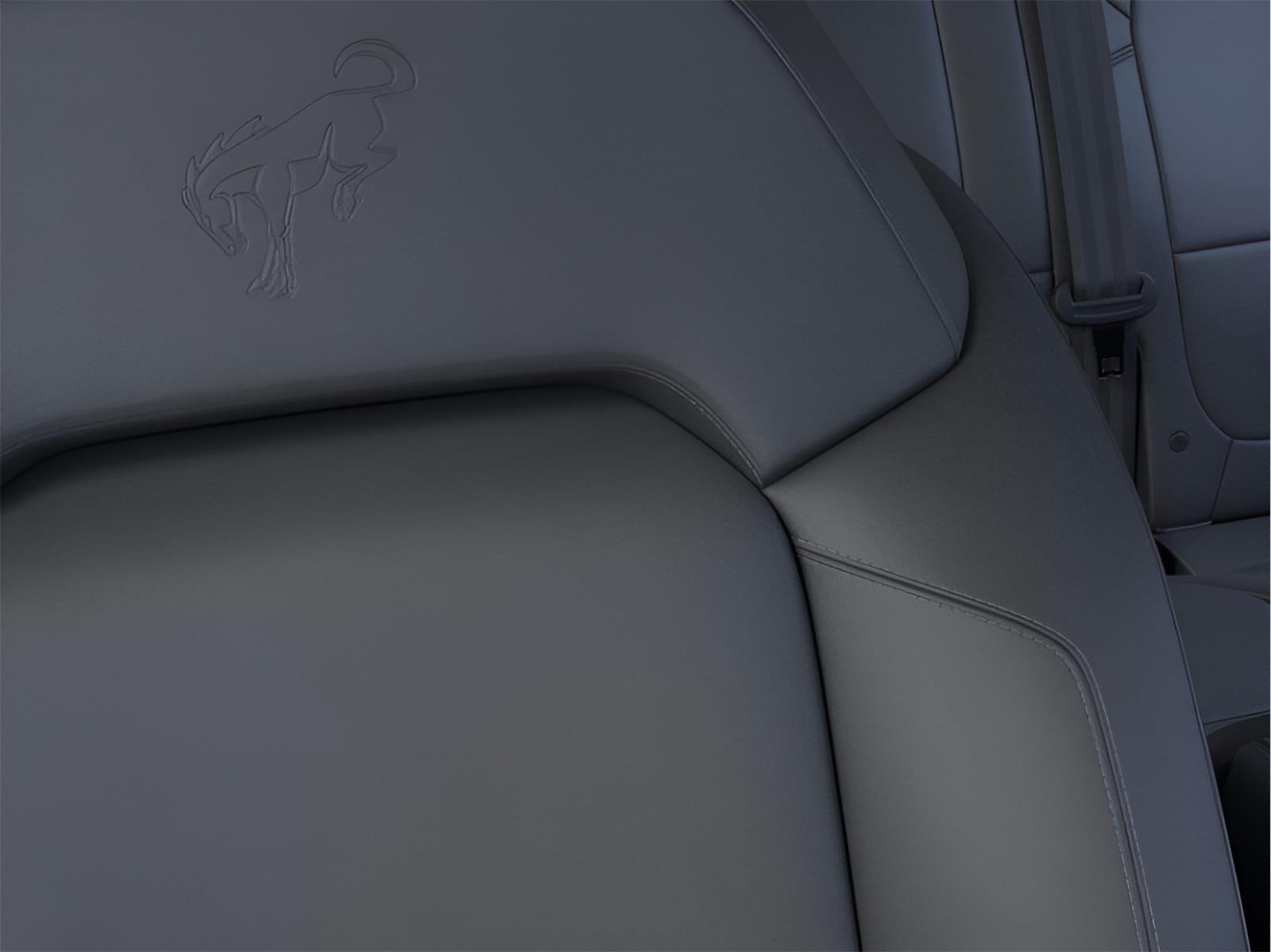 New 2026 Shadow Black Ford Big Bend® image 18