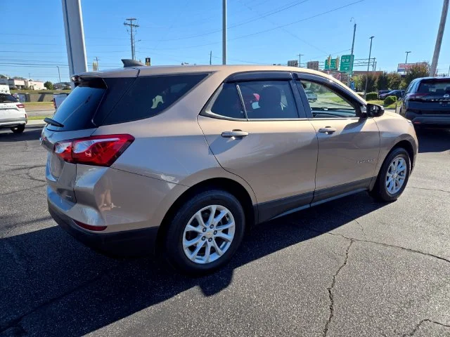 Used 2019 Beige Chevrolet LS image 8