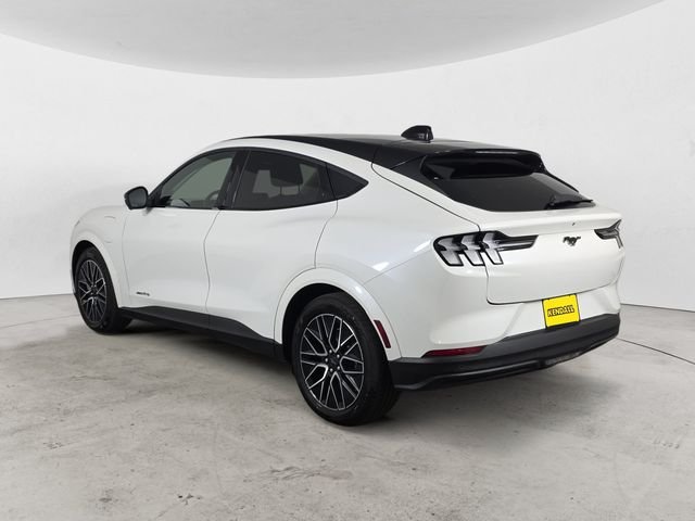 Used 2025 White Ford Premium image 3