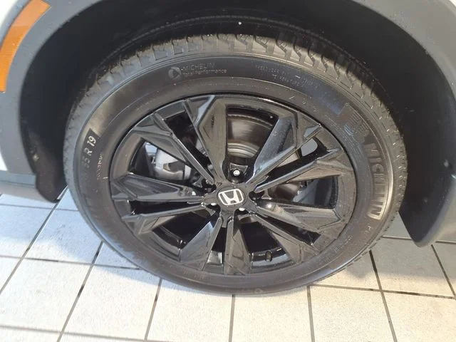 Photo 5