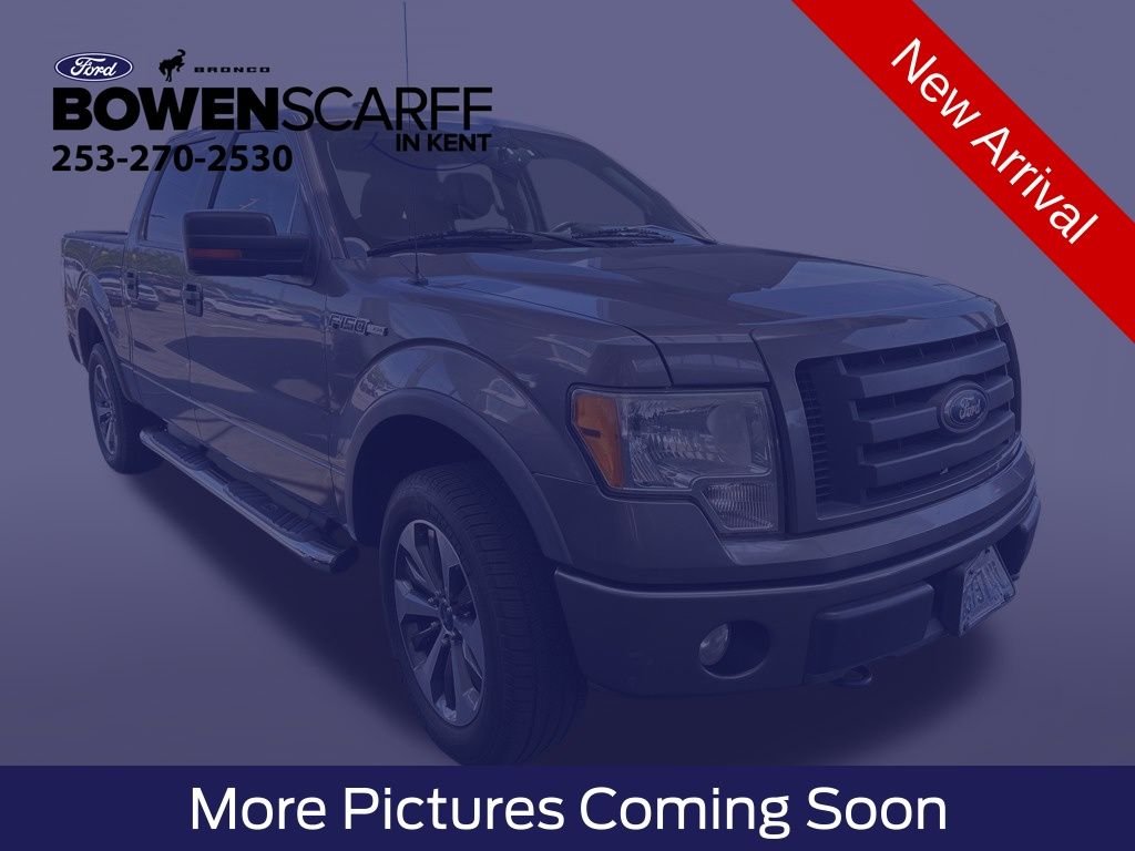 2010 Ford F-150's photo