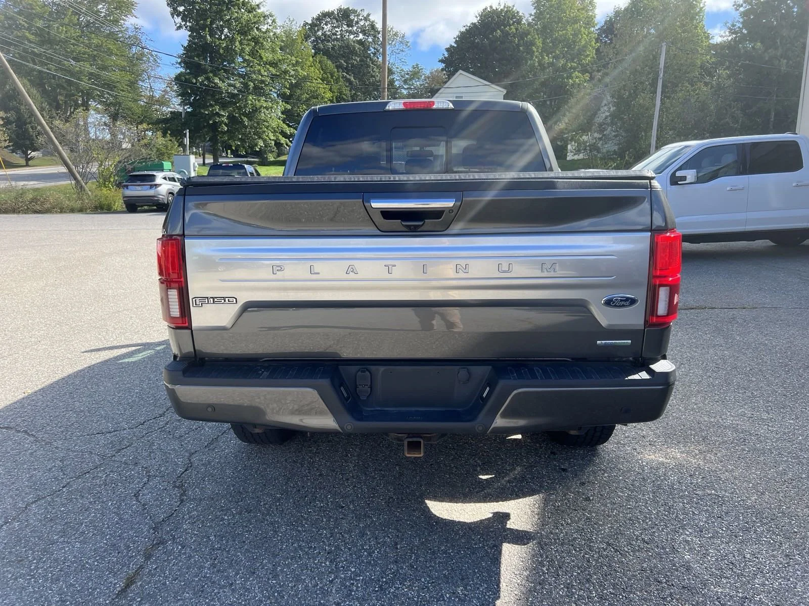 Used 2019 Gray Ford Platinum image 6