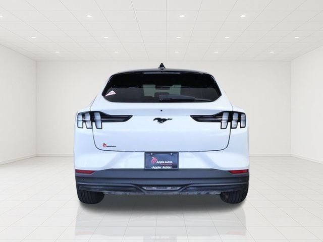 Used 2025 White Ford Premium image 5