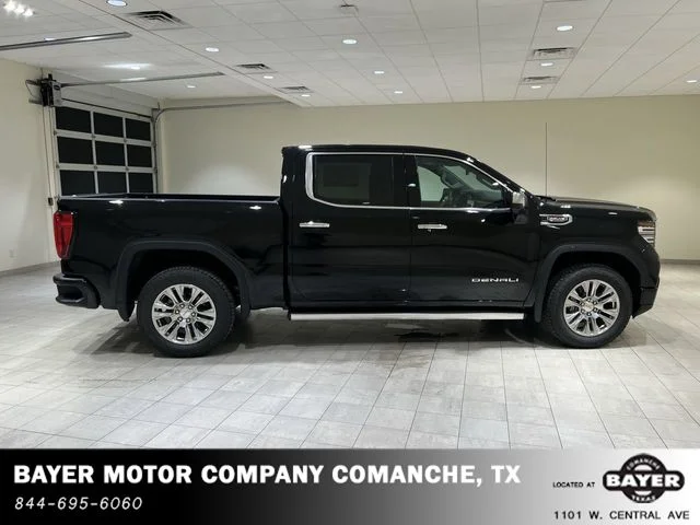 2025 GMC Sierra 1500 Denali - Photo 48