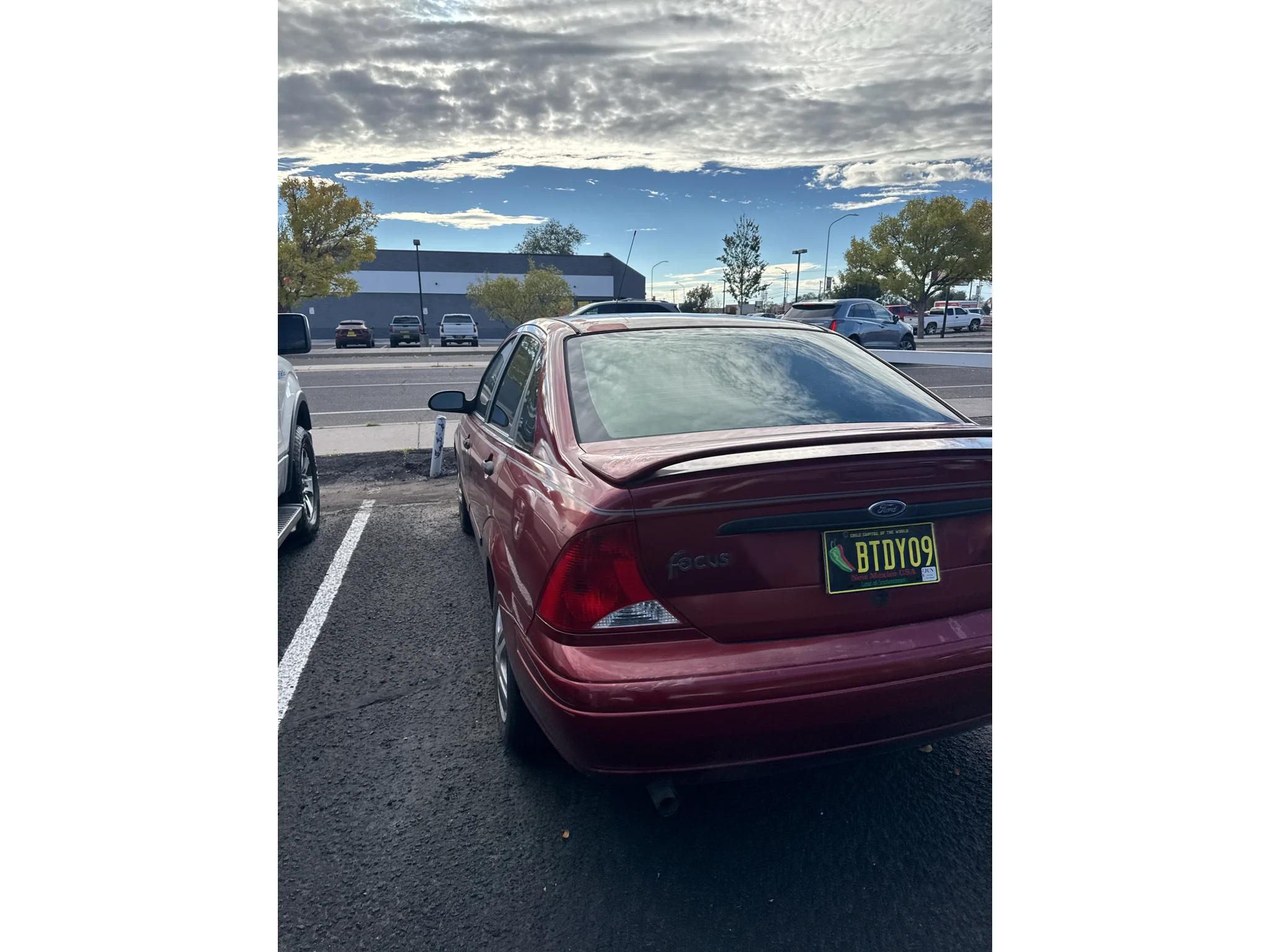 Used 2001 Red Ford SE Comfort w/Zetec image 4