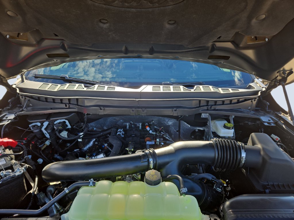 New 2026 Gray Ford Tremor image 19