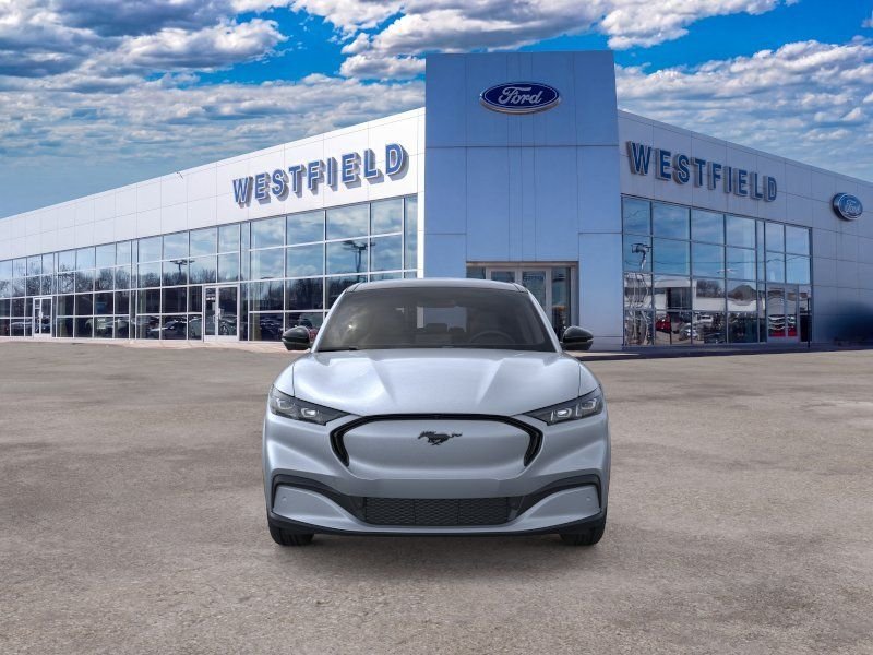 New 2026 Glacier Gray Metallic Tri-coat Ford Premium image 6