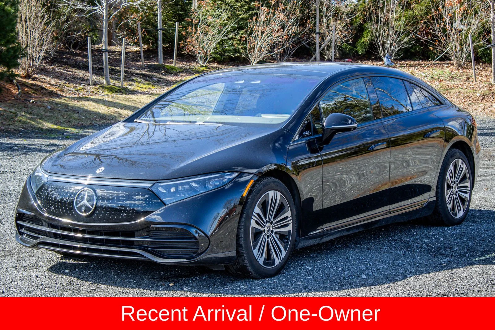 2023 Mercedes-Benz EQS EQS 450 4MATIC's photo