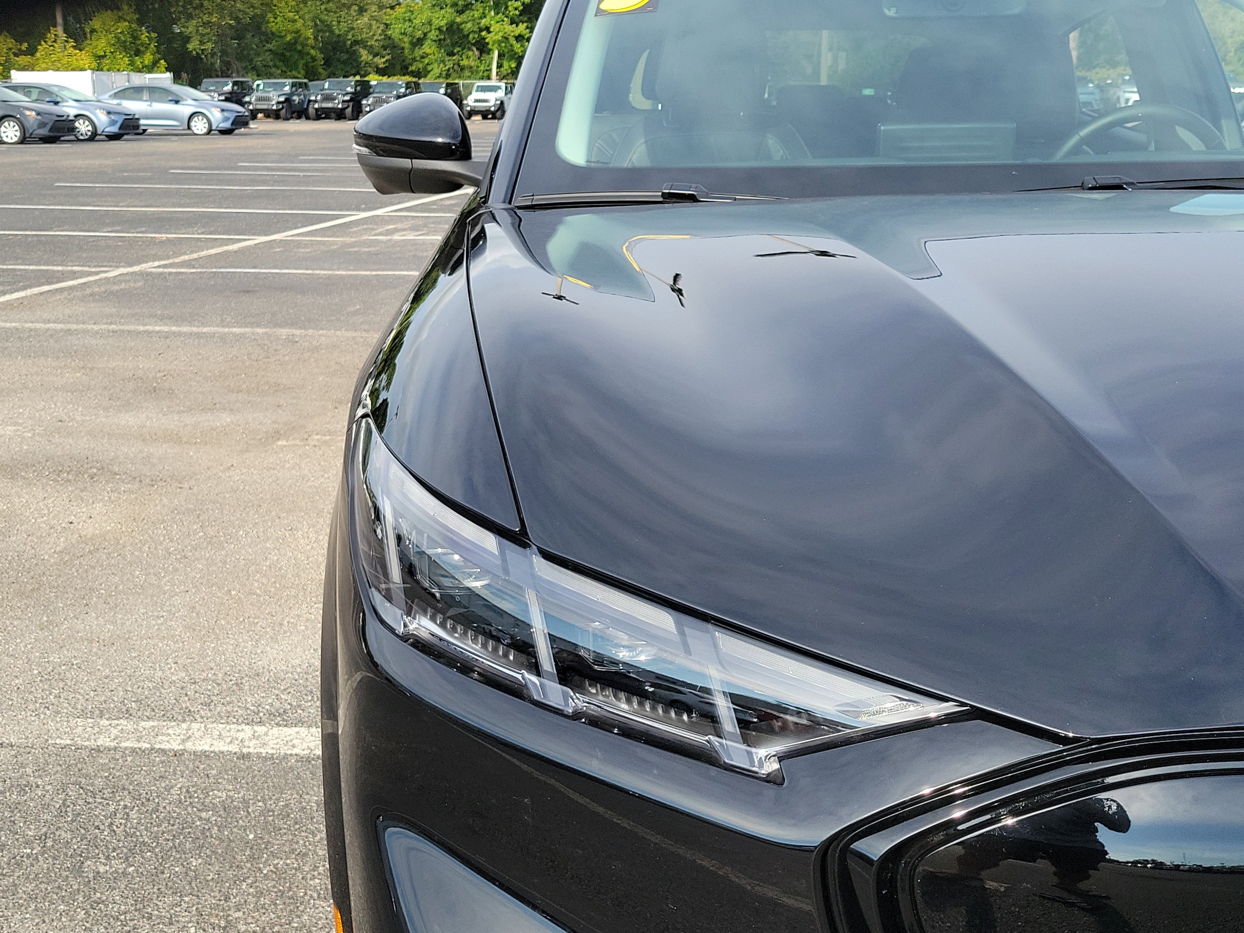 Used 2025 Shadow Black Ford Premium image 6