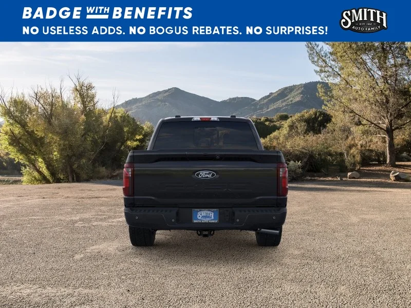 New 2025 Agate Black Metallic Ford XLT image 6