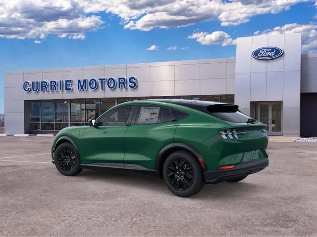 New 2026 Eruption Green Metallic Ford Premium image 26