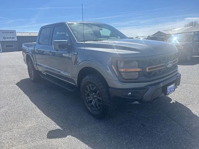New 2026 Gray Ford Tremor image 11