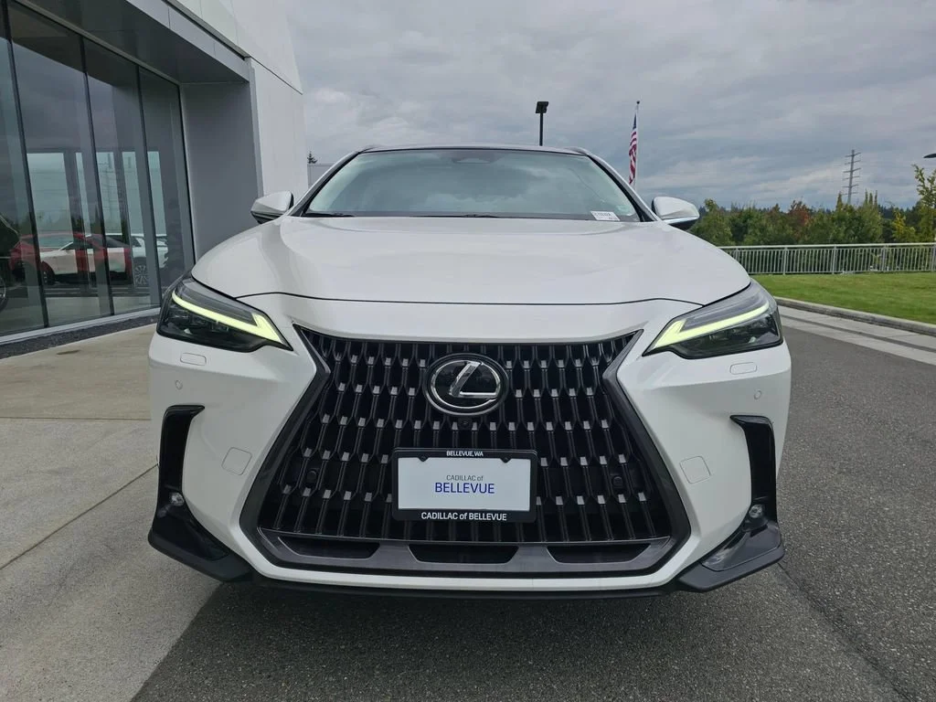 Used 2024  Lexus NX 350 Luxury image 2