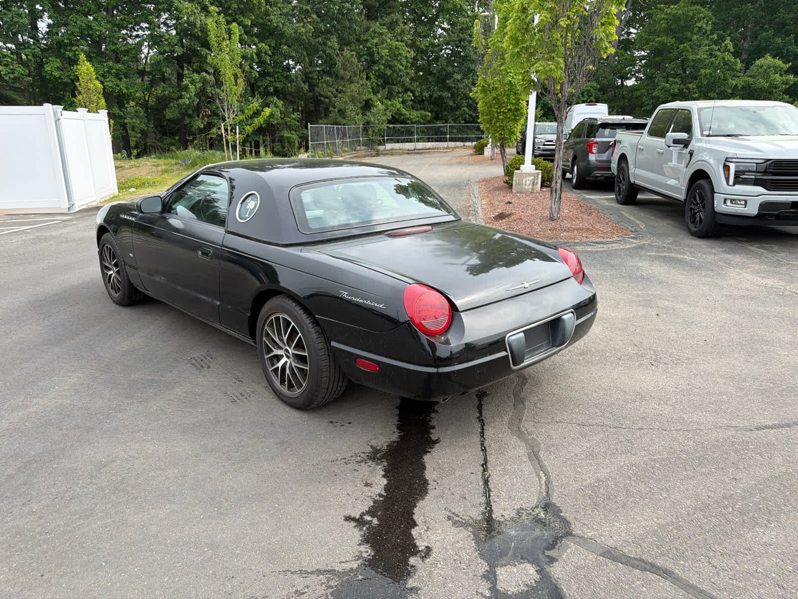 Used 2003 Evening Black Ford Premium image 7