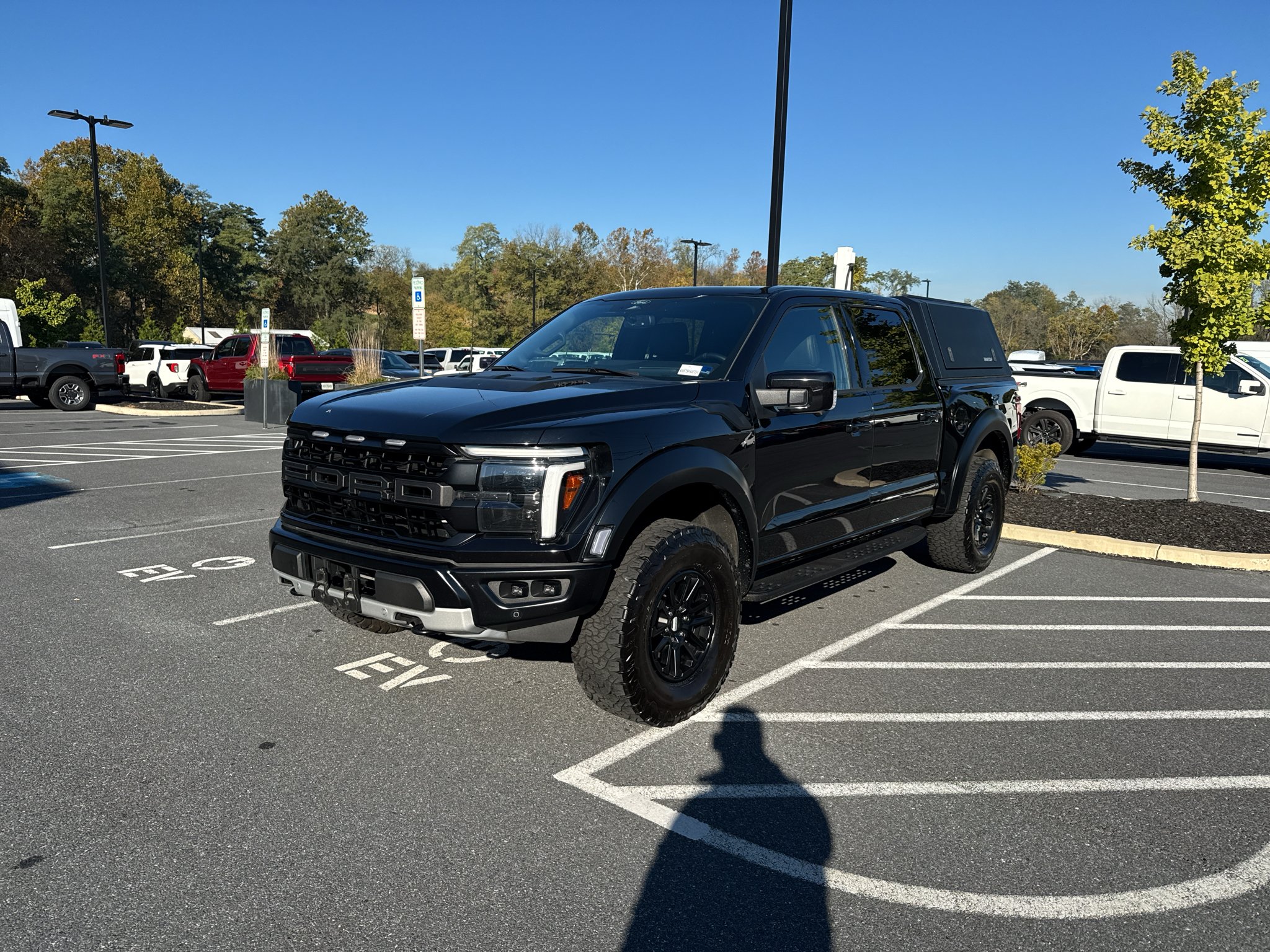 Used 2025 Agate Black Metallic Ford Raptor image 4