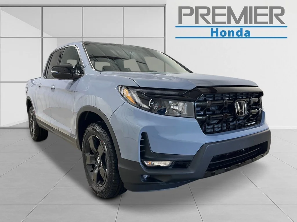 New 2026 Gray Honda Black Edition image 8