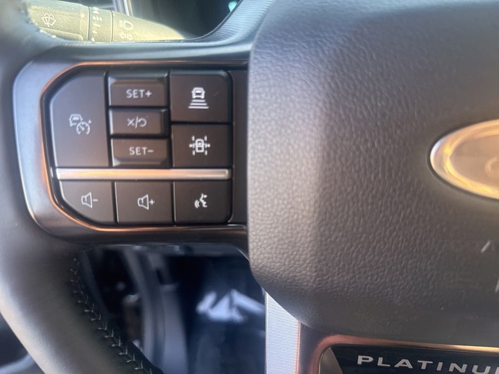 New 2026 Agate Black Metallic Ford Platinum image 18