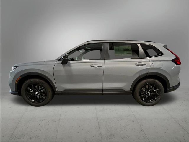 New 2026 Urban Gray Pearl Honda Sport-L image 2