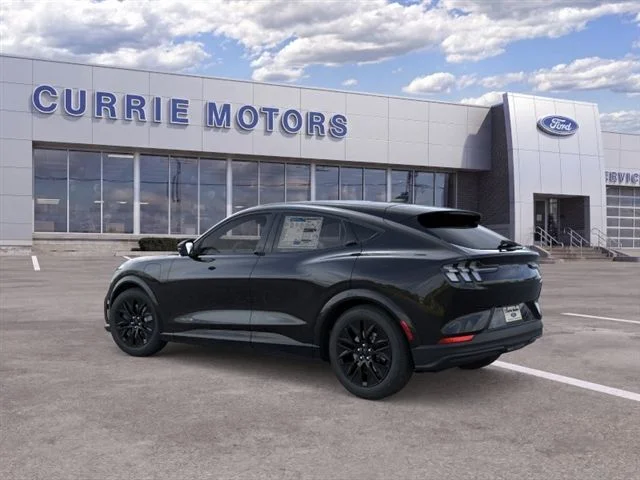 New 2026 Shadow Black Ford Premium image 26